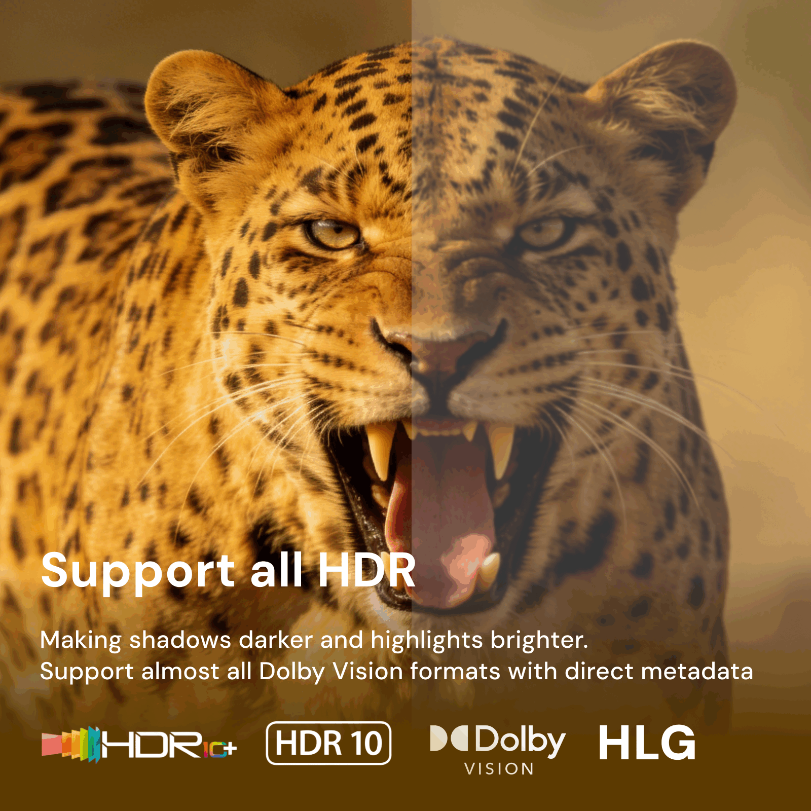 ZIDOO Z30 PRO 8K Odtwarzacz Au – Audio Player With Youtube Music recenzja i cena